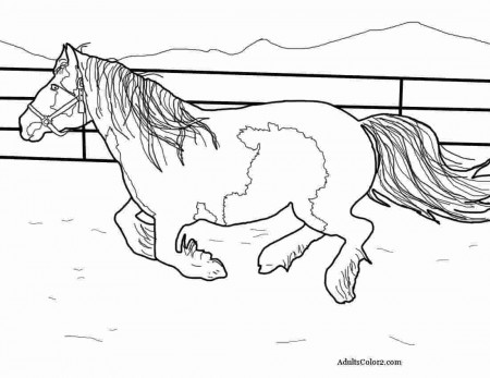 Realistic Horse Running Coloring Pages free printable realistic ...