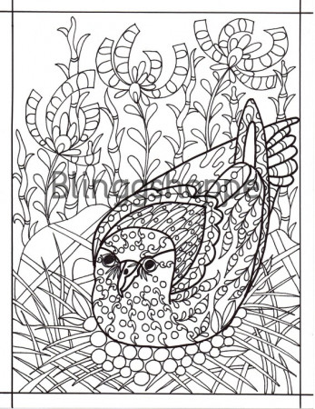Bird Adult Coloring Pages Printable Adult Coloring Page - Etsy Singapore