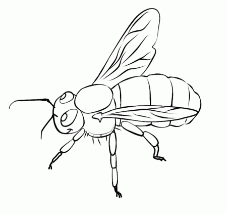 FREE Bee Coloring Picture 6