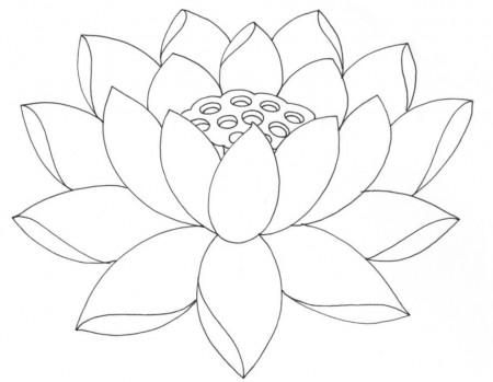 Simple Lotus Flower Outline Wallpaper « Free latest HD Hairstyle 