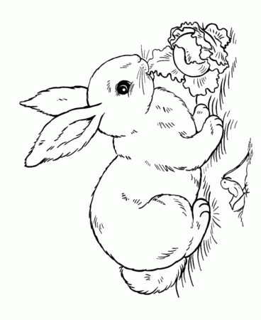 Rabbit coloring page | PETS - Unleashing God's Potential Children's M…