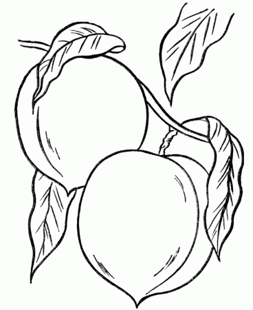 PEACH TREE Colouring Pages