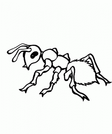 Inspirational Ant Coloring Page For Kids | ViolasGallery.