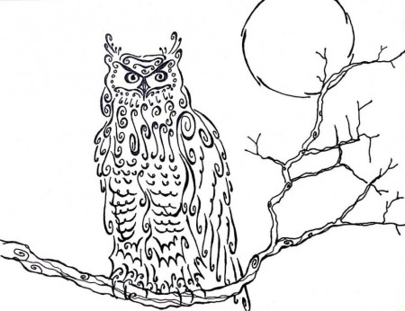 owl coloring pages : Printable Coloring Sheet ~ Anbu Coloring Page 