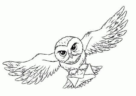 hedwig Colouring Pages