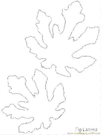 Coloring Pages Coloring Fig Leaves (Natural World > Trees) - free 
