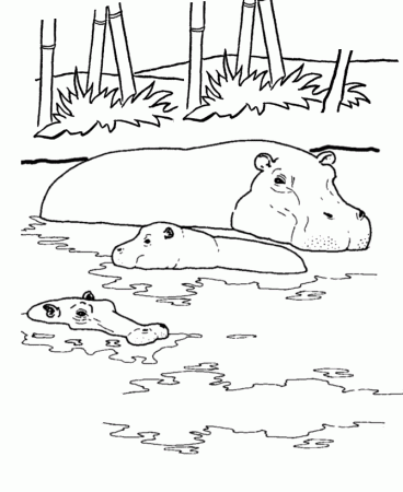 Hippo Coloring Page | Animal Coloring pages | Printable Coloring Pages