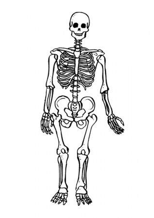 Childhuman Bone Coloring Pages