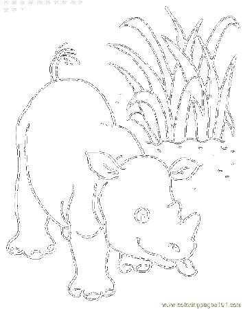 Coloring Pages Rhinoceros 09 (Mammals > Rhino ) - free printable 