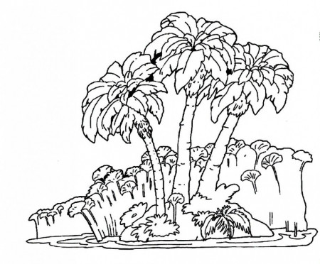 Download Forest With Lot Of Trees Around Coloring Pages Or Print 