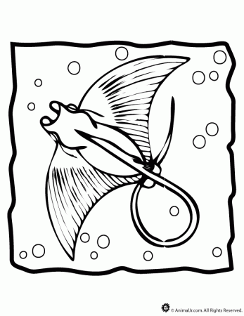 Manta Ray Coloring Page | Woo! Jr. Kids Activities : Children's Publishing