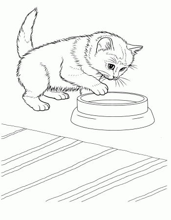 Free Coloring Pages Of Cats And Kitten - Gianfreda.net