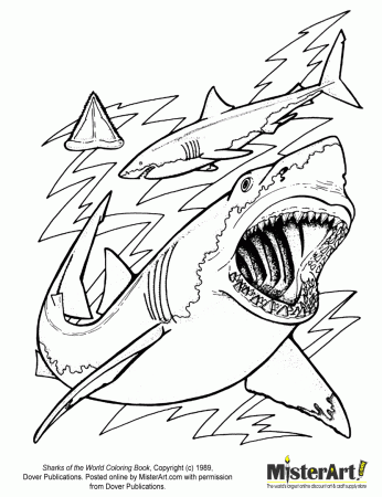 Coloring Pages Of Sharks To Print - High Quality Coloring Pages