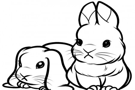 Cute Bunny Coloring Pages To Print - Novocom.top