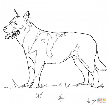 Printable Coloring Pages Of Dogs And Puppies: Realistic Dog ...