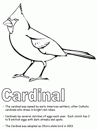 Cardinal coloring page
