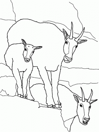 6 Pics of Family Coloring Pages Goat - Pygmy Goat Coloring Pages ...
