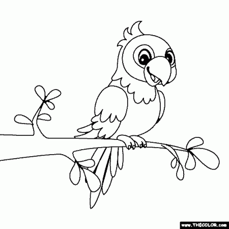 Macaw Coloring Page
