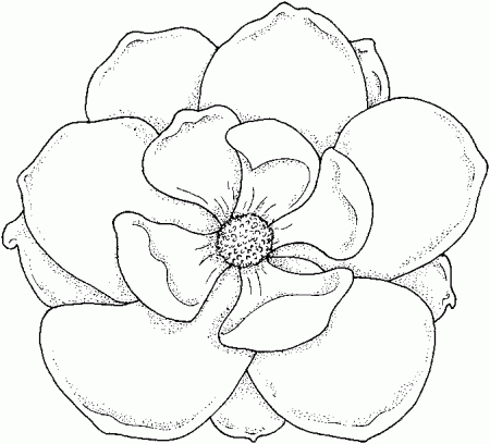 flower coloring boook | Flower Coloring Pages for Kids Flower Coloring  Pages coloring pages ... | Flower coloring pages, Flower drawing, Free coloring  pages