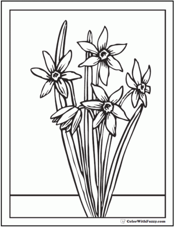 Spring flowers Coloring Page ✨ 28+ Spring Coloring Pages