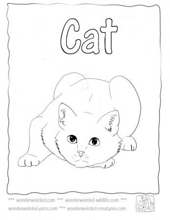 Cat Coloring Page,Echo's Cat Coloring Pictures from Pet Coloring Pages