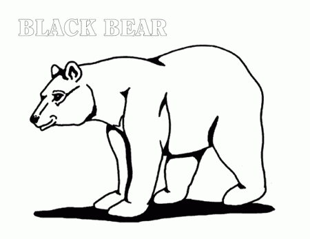 Black Bear coloring page - Animals Town - animals color sheet ...