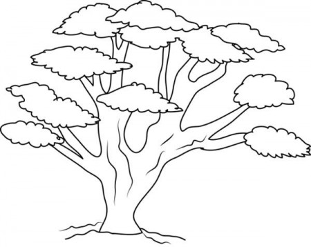 Oak Tree With So Many Branch Coloring Page : Color Luna | Tree coloring page,  Coloring pages, Coloring pictures