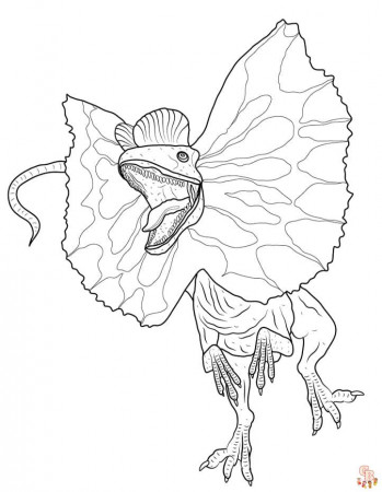 Dilophosaurus Coloring Pages for Kids | GBcoloring