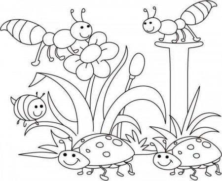 Free Spring Coloring Pages, Download Free Spring Coloring Pages png images,  Free ClipArts on Clipart Library