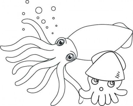 cute squid and baby coloring pages | Baby coloring pages, Animal coloring  pages, Coloring pages