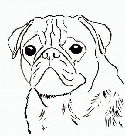 Baby Pug Coloring Pages Chrstmas (Page 1) - Line.17QQ.com
