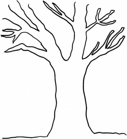 7 Best Images of Printable Tree Without Leaves Coloring Page ...