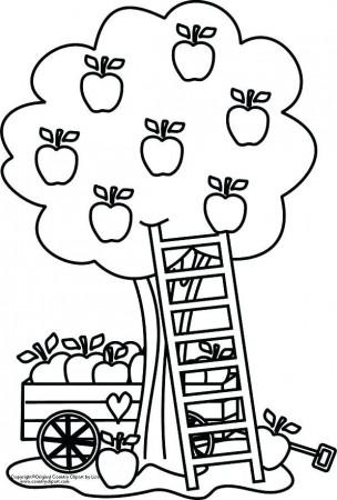 coloring pages apple apple tree coloring page apple tree coloring pages  best images about on apple … | Apple coloring pages, Tree coloring page,  Fall coloring pages