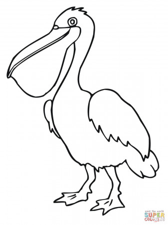 Pelican Bird coloring page | Free Printable Coloring Pages