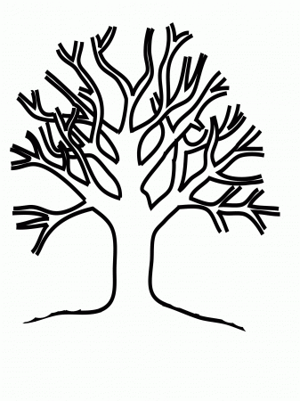 Tree With No Leaves Coloring Page