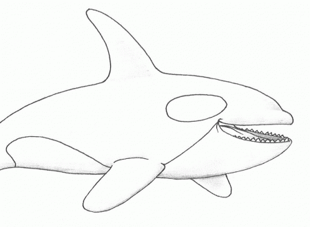 Killer Whale Coloring Pages (17 Pictures) - Colorine.net | 16948