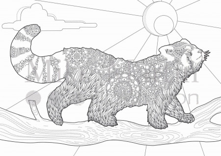 Printable Red Panda coloring page Instant by MJMIllustration