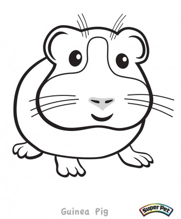 Coloring Page Guinea Pig - High Quality Coloring Pages