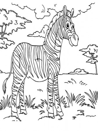 Zebra Rainforest Animals Coloring Page - Download & Print Online ...