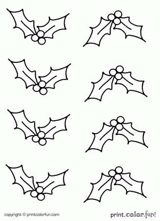 Holly coloring page - Print. Color. Fun!