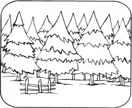 Forest coloring pages to download and print for free