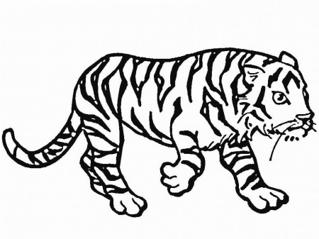 Coloring Page - Tiger animal coloring pages 7