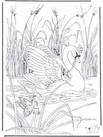 swan | Swans, Coloring pages and ...