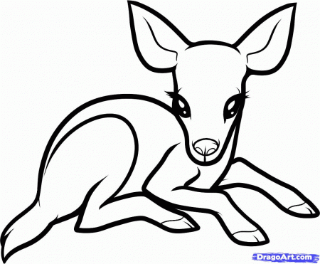 8 Pics of Cute Dragoart Animals Coloring Pages - Cute Animal Anime ...