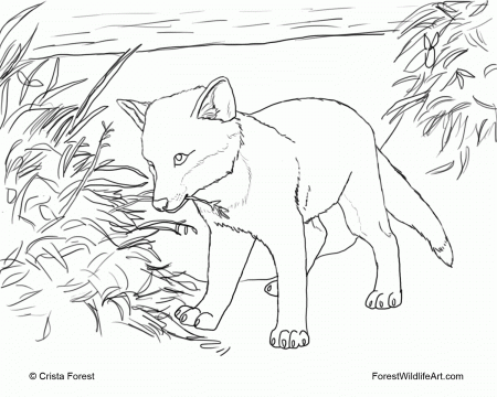 Wolf with Pup Coloring Pages - Cute and Adorable Collection
