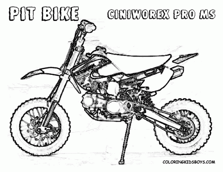 Hard Rider Dirtbike Print Outs | Pocket Bikes | Free| Pit Bike ...