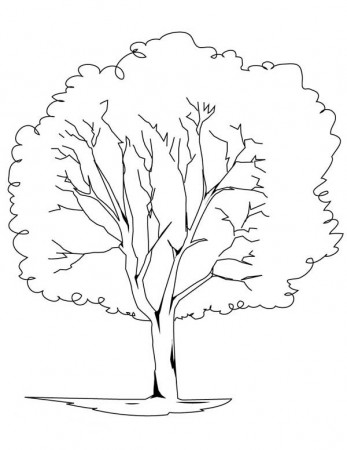 Planting Oak Tree Coloring Page : Color Luna