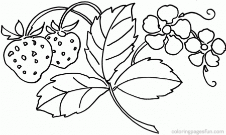 Strawberry Flower Coloring Pages - Colorine.net | #10330