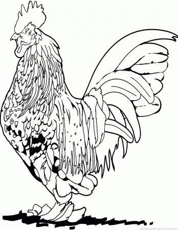 Rooster Coloring Pages - Part 5