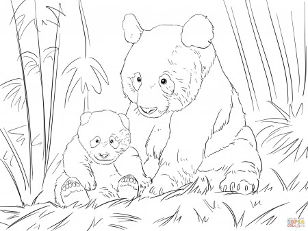 Cute Panda Family coloring page | Free Printable Coloring Pages